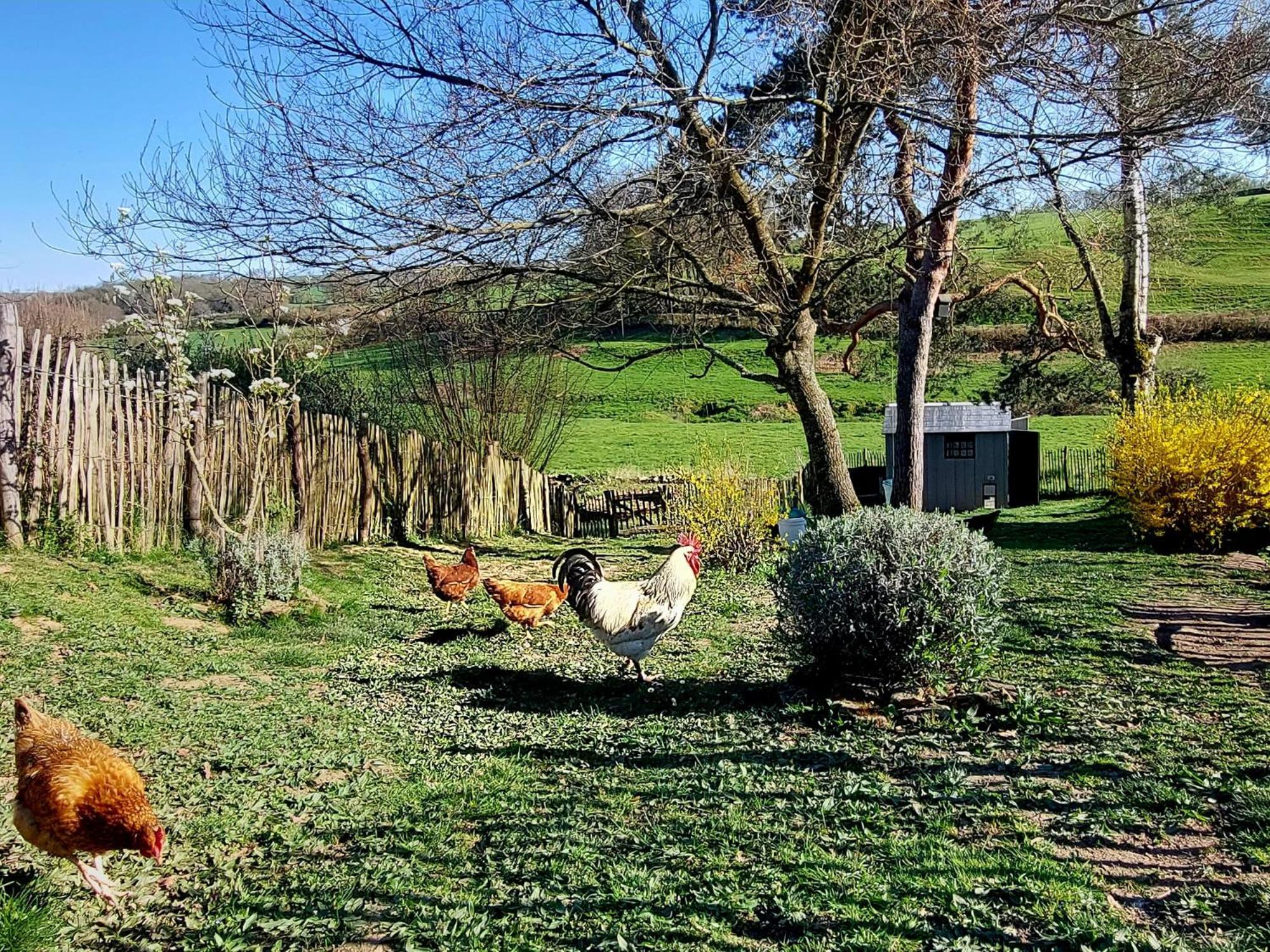 Maison Du Grand Moulin Saint-Aubin-en-Charollais 外观 照片
