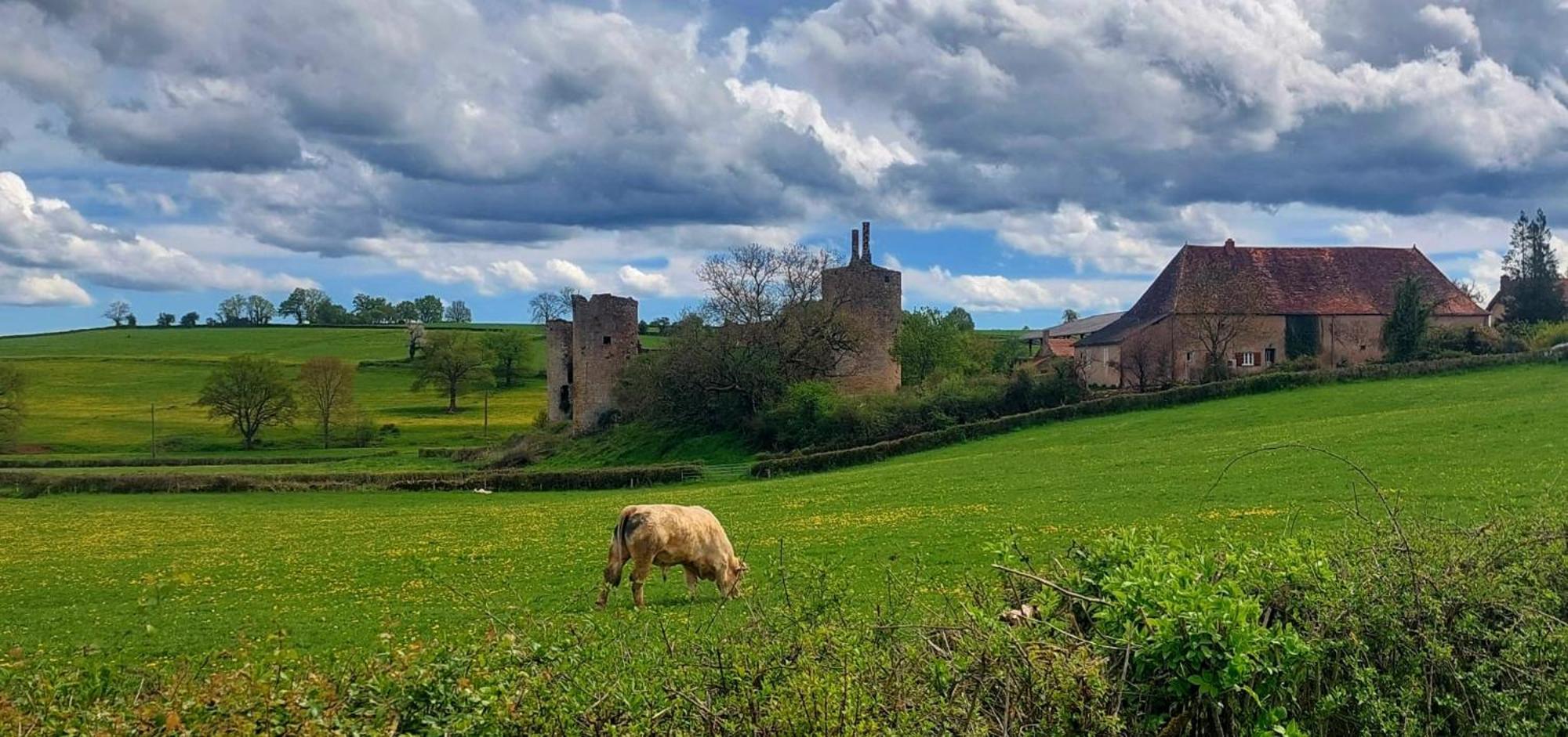 Maison Du Grand Moulin Saint-Aubin-en-Charollais 外观 照片