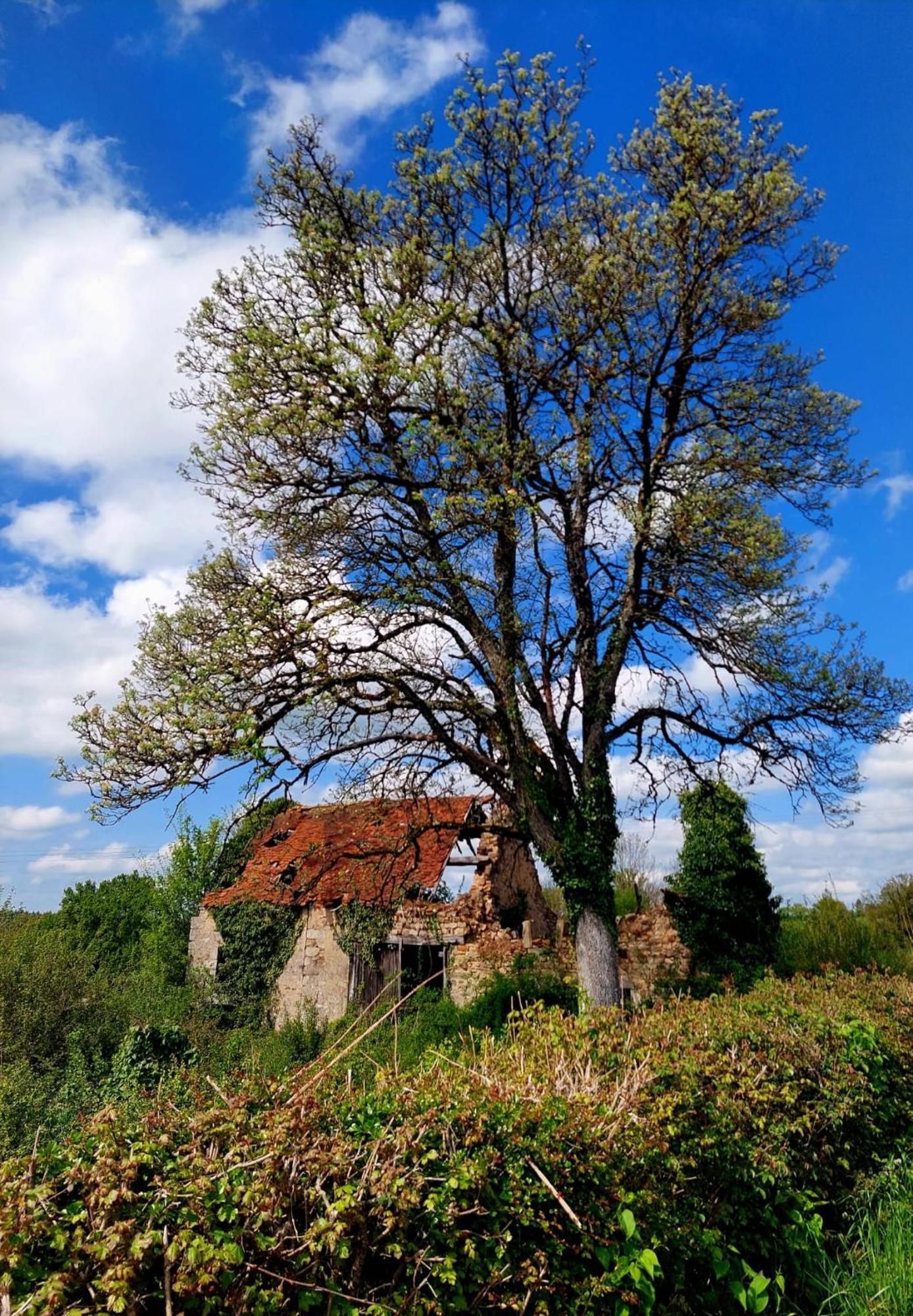 Maison Du Grand Moulin Saint-Aubin-en-Charollais 外观 照片